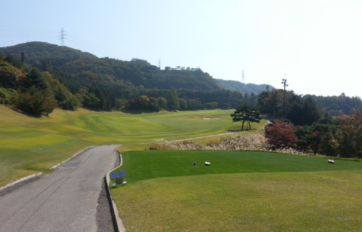 이미지 5