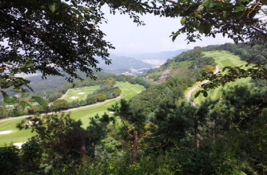 이미지 8