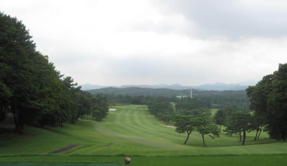 이미지 5