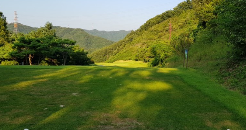 이미지 3