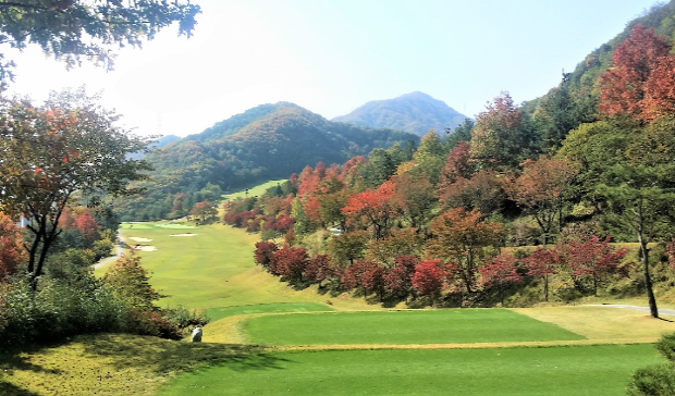 이미지 7