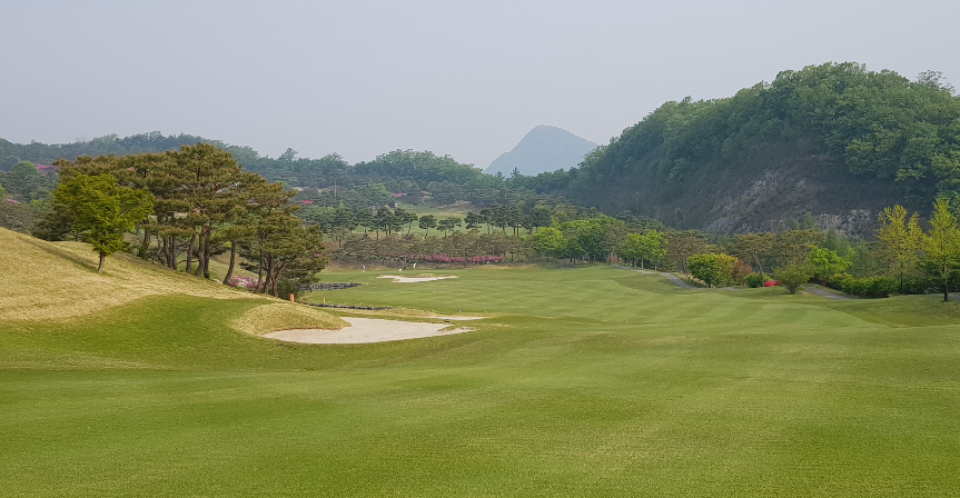 이미지 3