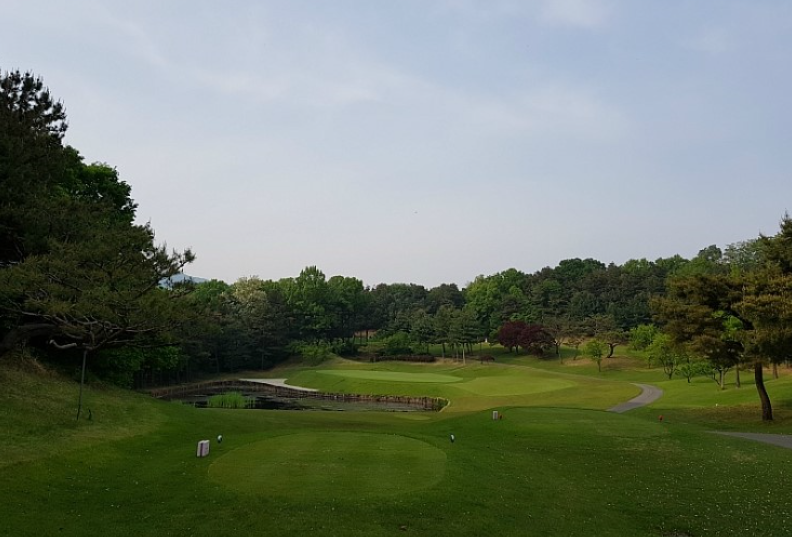 이미지 5