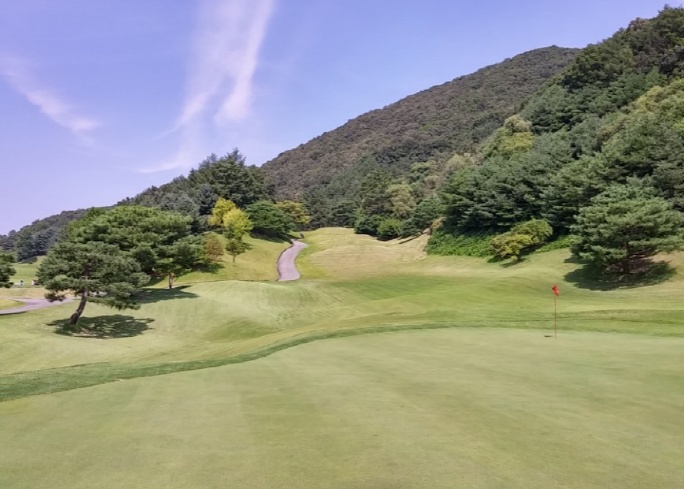 이미지 8