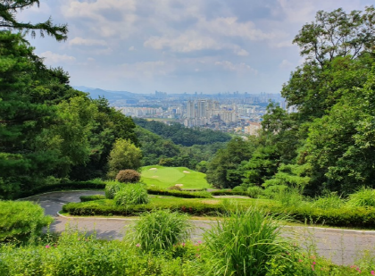 이미지 7