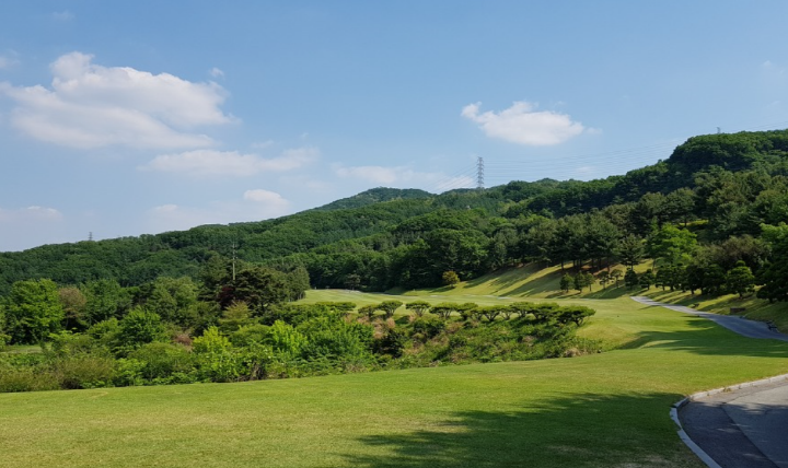 이미지 5