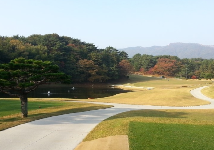 이미지 4