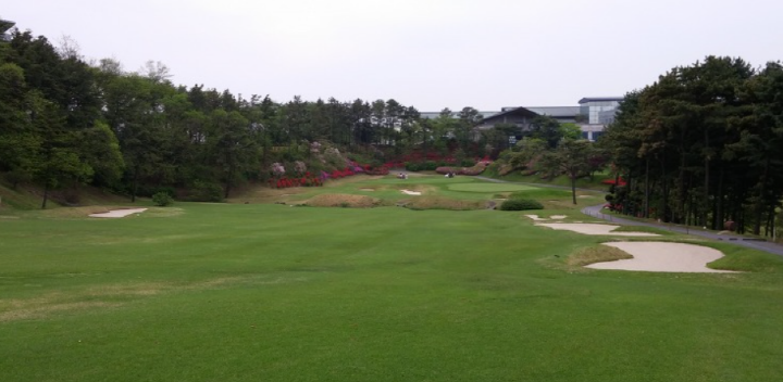 이미지 5