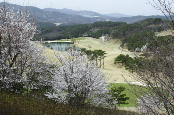이미지 8