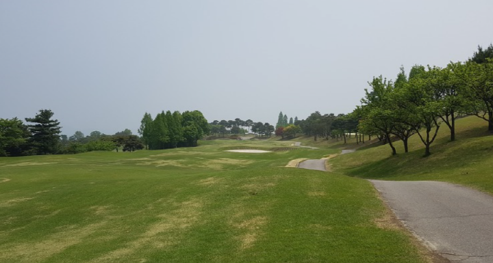 이미지 3