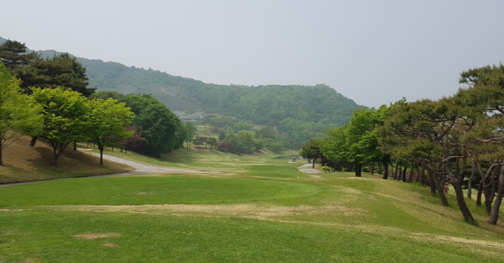 이미지 4