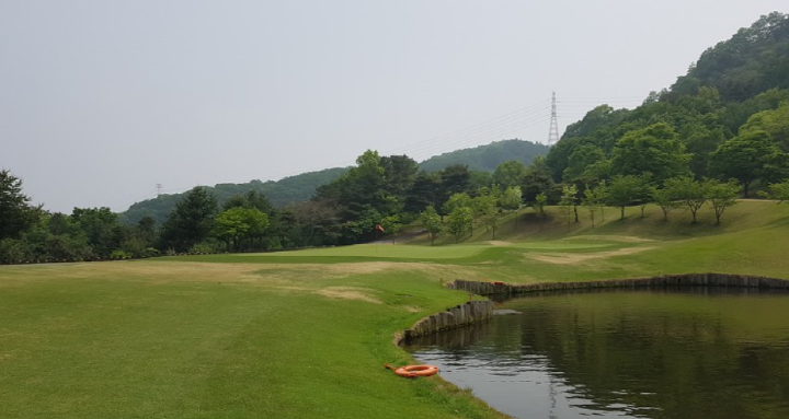 이미지 8