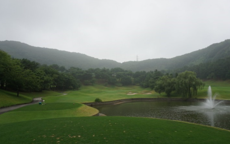 이미지 4