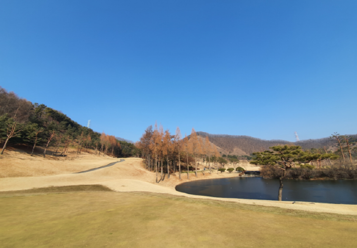 이미지 7
