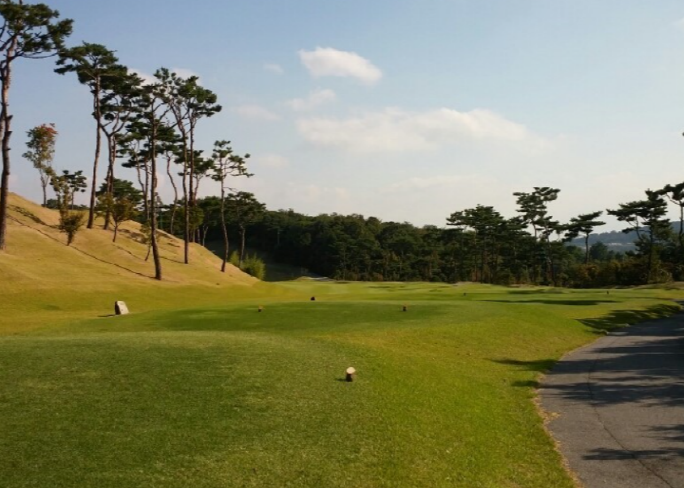 이미지 1