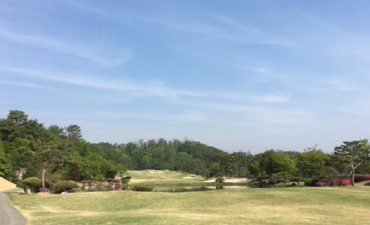 이미지 7