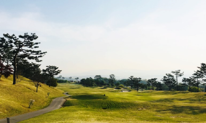 이미지 6
