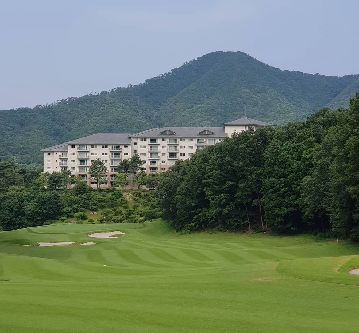 이미지 1