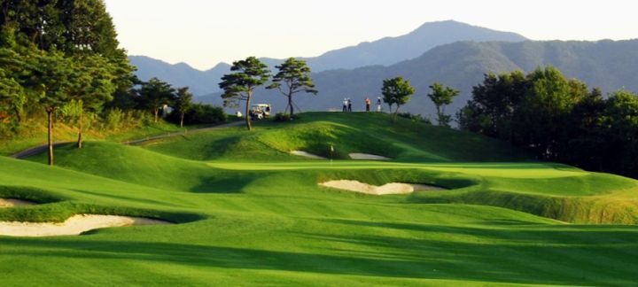 이미지 5
